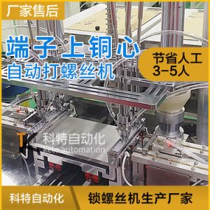 接線端子上銅心自動打螺絲設(shè)備 螺釘自動擰緊視頻